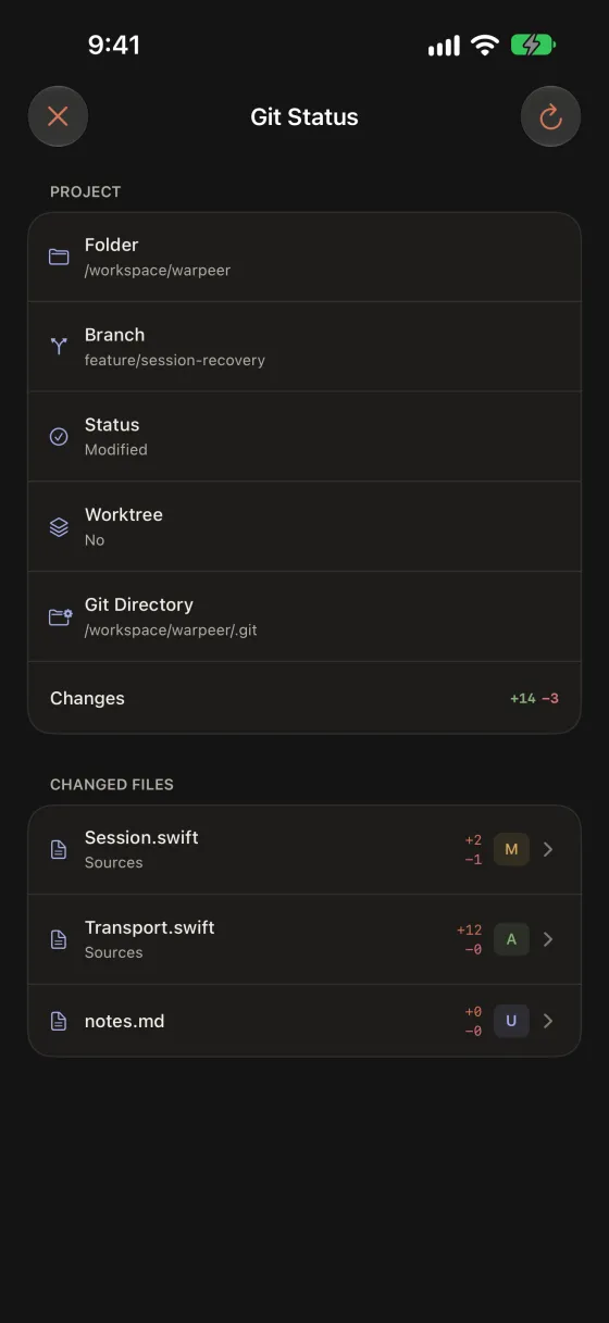 Git status page listing the branch, worktree and changed files of the remote project.